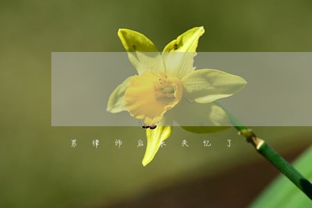 男律师后来失忆了 男律师后来失忆了