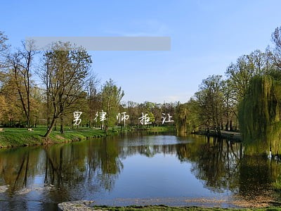 男律师拒让 男律师拒让