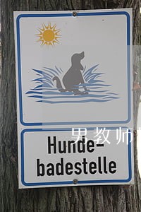 男教师娶律师 男教师娶律师