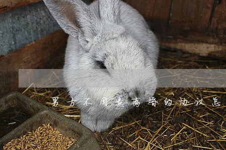 男方不同意离婚的协议怎么写 男方不同意离婚的协议怎么写