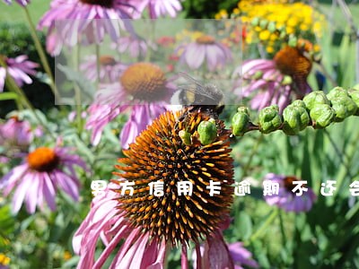男方信用卡逾期不还会影响女方 男方信用卡逾期不还会影响女方