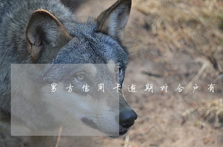 男方信用卡逾期对合户有影响吗 男方信用卡逾期对合户有影响吗