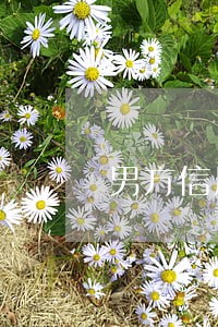 男方信用卡逾期影响离婚 男方信用卡逾期影响离婚