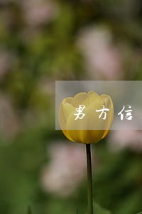 男方信用卡逾期怎么办 男方信用卡逾期怎么办