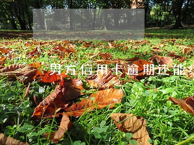 男方信用卡逾期还能结婚吗 男方信用卡逾期还能结婚吗