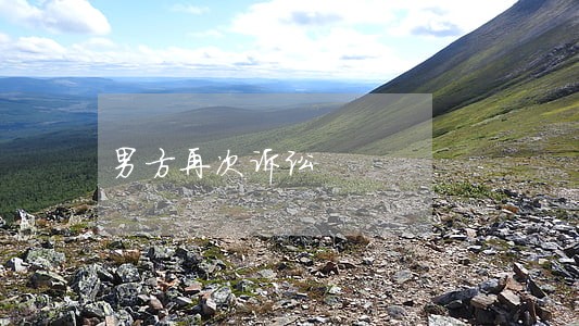 男方再次诉讼 男方再次诉讼