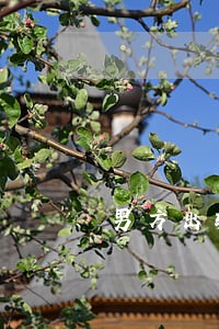 男方出轨女方怎么样离婚 男方出轨女方怎么样离婚