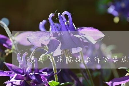 男方向法院提出诉讼要求返还彩礼 男方向法院提出诉讼要求返还彩礼