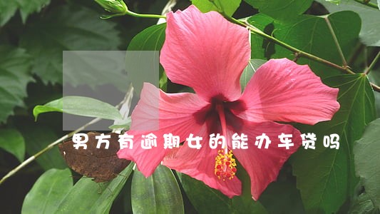 男方有逾期女的能办车贷吗 男方有逾期女的能办车贷吗