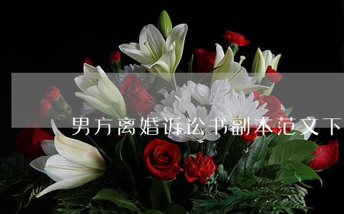 男方离婚诉讼书副本范文下载 男方离婚诉讼书副本范文下载