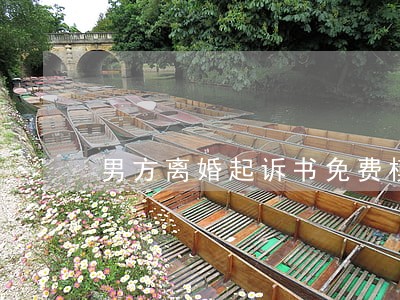 男方离婚起诉书免费模板 男方离婚起诉书免费模板