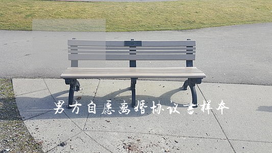 男方自愿离婚协议书样本 男方自愿离婚协议书样本