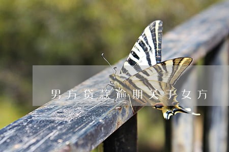 男方贷款逾期关于女方 男方贷款逾期关于女方
