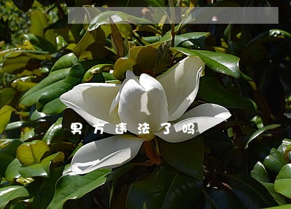 男方违法了吗 男方违法了吗
