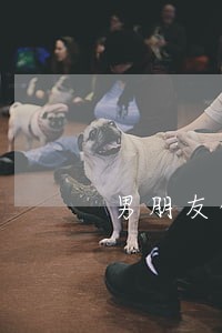 男朋友借我花呗逾期了怎么办 男朋友借我花呗逾期了怎么办