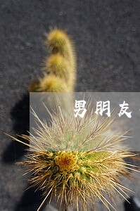 男朋友告我诈骗法律咨询 男朋友告我诈骗法律咨询