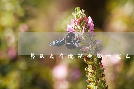 男朋友有逾期会影响我么 男朋友有逾期会影响我么