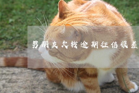 男朋友欠钱逾期征信很差 男朋友欠钱逾期征信很差