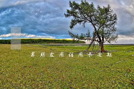 男朋友用信用卡逾期 男朋友用信用卡逾期