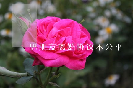 男朋友离婚协议不公平