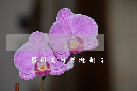 男朋友网贷逾期了 男朋友网贷逾期了