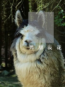 男朋友花呗逾期 男朋友花呗逾期