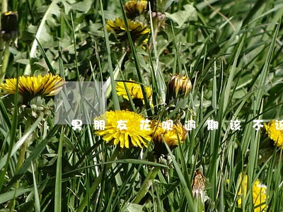 男朋友花呗逾期该不该还 男朋友花呗逾期该不该还