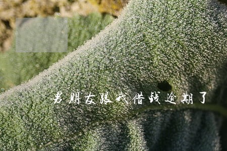 男朋友跟我借钱逾期了 男朋友跟我借钱逾期了