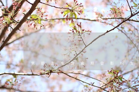 男朋友车贷逾期会影响女朋友么 男朋友车贷逾期会影响女朋友么