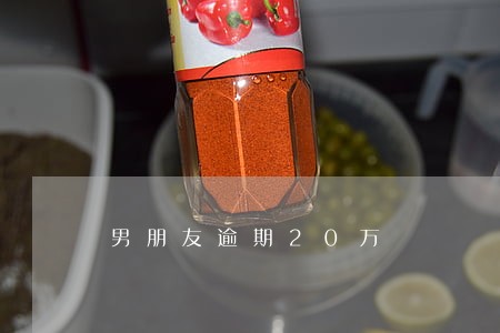 男朋友逾期20万 男朋友逾期20万