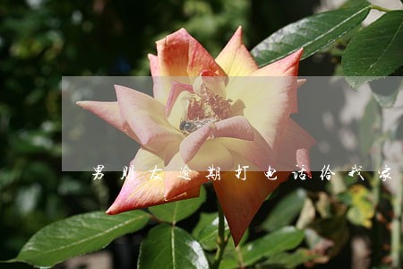 男朋友逾期打电话给我家人