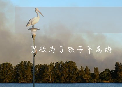 男版为了孩子不离婚 男版为了孩子不离婚