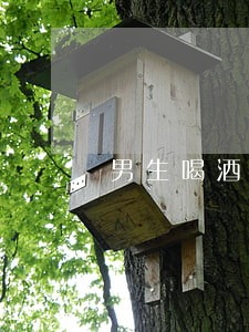 男生喝酒女生可以离婚吗 男生喝酒女生可以离婚吗