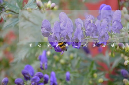 男生穿内裤上街违法吗 男生穿内裤上街违法吗