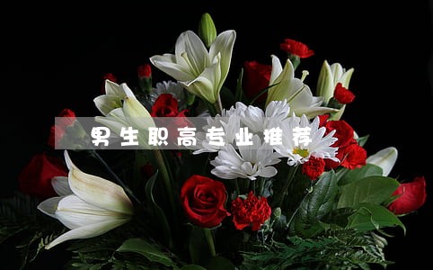 男生职高专业推荐 男生职高专业推荐