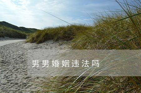 男男婚姻违法吗