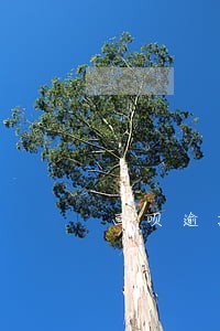画呗逾期三个月还款了多久可以用 画呗逾期三个月还款了多久可以用