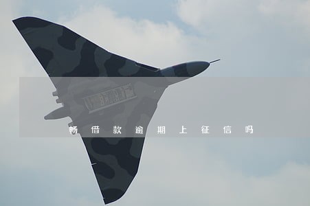 畅借款逾期上征信吗 畅借款逾期上征信吗