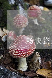 畅快贷逾期一天会怎么样 畅快贷逾期一天会怎么样