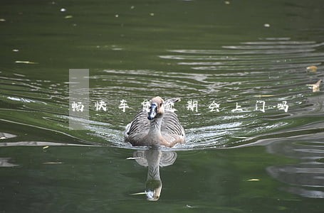畅快车贷逾期会上门吗 畅快车贷逾期会上门吗