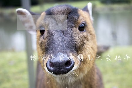 畅快车贷逾期几天会把车开走 畅快车贷逾期几天会把车开走