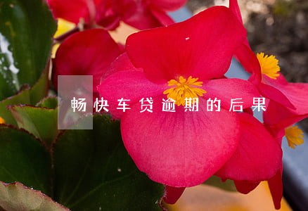 畅快车贷逾期的后果 畅快车贷逾期的后果