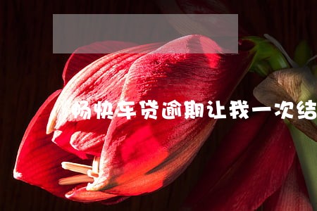 畅快车贷逾期让我一次结清 畅快车贷逾期让我一次结清