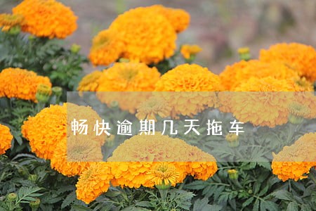 畅快逾期几天拖车 畅快逾期几天拖车
