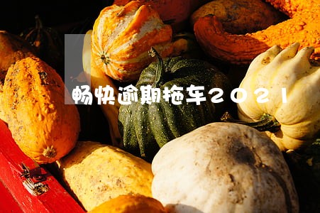 畅快逾期拖车2021 畅快逾期拖车2021