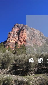 畅想金融贷款逾期了 畅想金融贷款逾期了