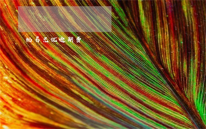 畅易无忧逾期费 畅易无忧逾期费