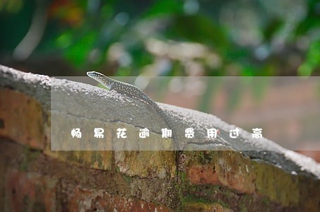 畅易花逾期费用过高 畅易花逾期费用过高