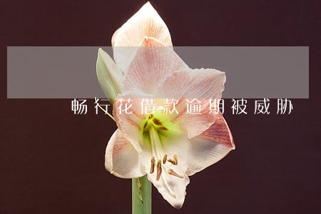 畅行花借款逾期被威胁 畅行花借款逾期被威胁