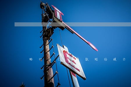 畅行花已经还款短信提示逾期 畅行花已经还款短信提示逾期